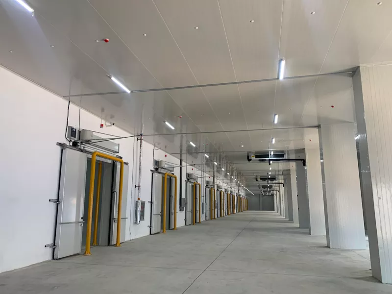 Magazina e strukturës së çelikut për ftohje